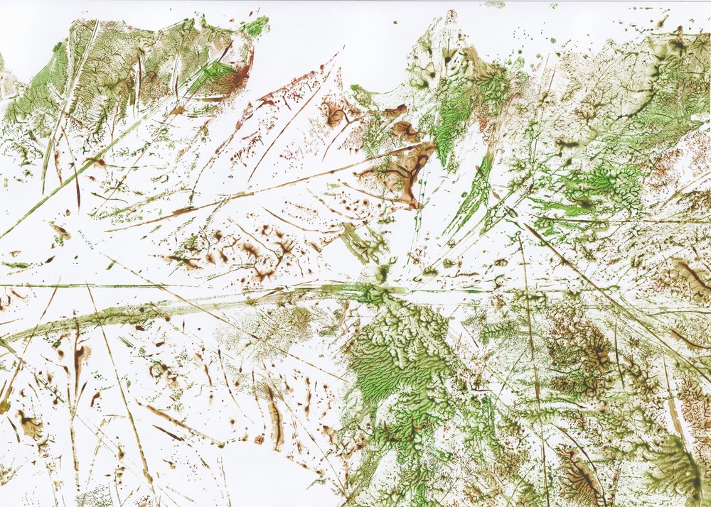 Folha abstrata de Maira Ribena