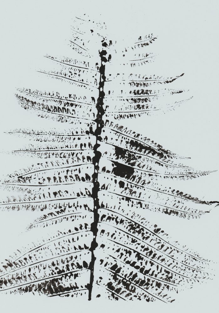 Black Ink Fern de Maira Ribena