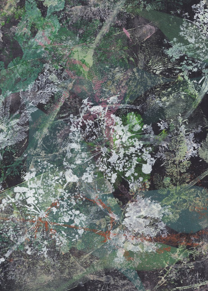 Abstrato floral sombrio de Maira Ribena