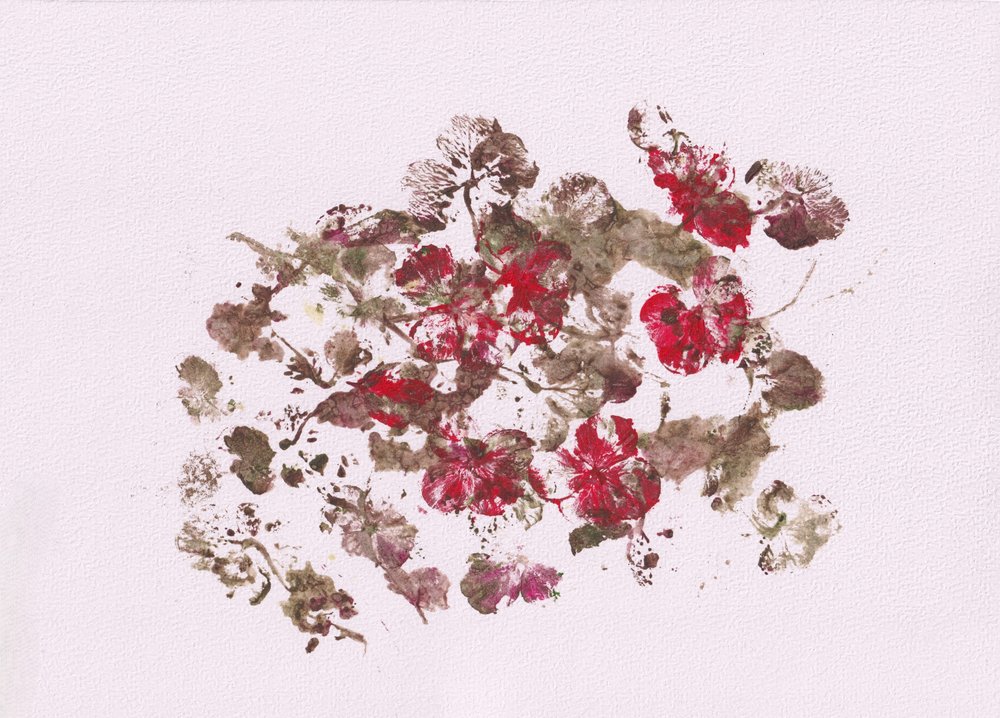 Impressões florais terrosas de Maira Ribena