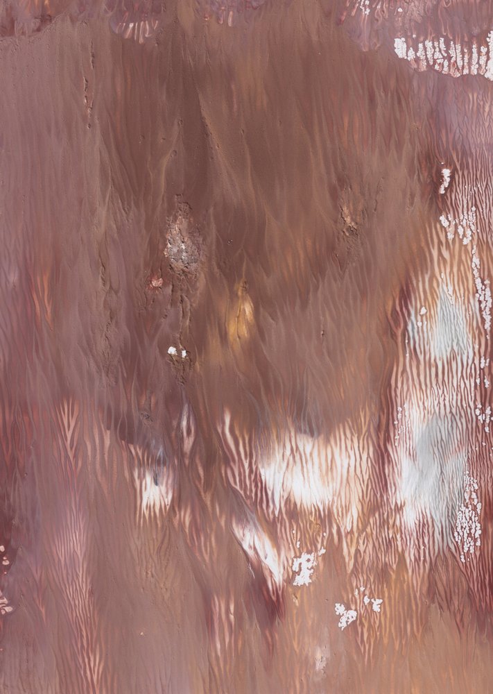 Abstrato fluido e terroso de Maira Ribena