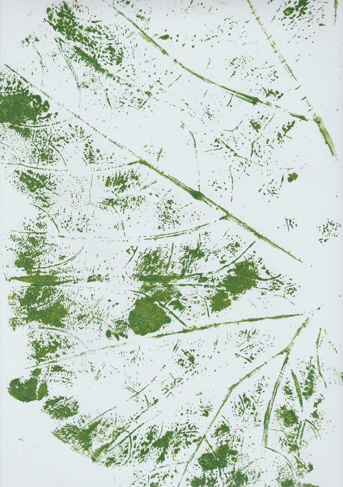 Impressão de Folha Verde de Maira Ribena