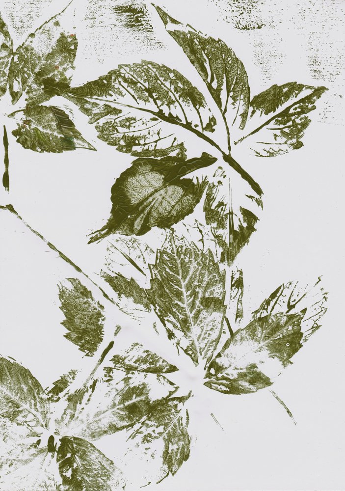 Estampados de Folhas Verdes de Maira Ribena