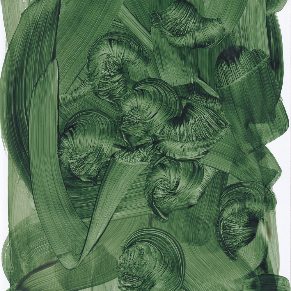 Espirais de um verde exuberante de Maira Ribena