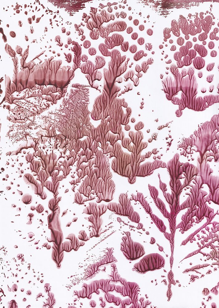 Fluxo Marrom Orgânico de Maira Ribena