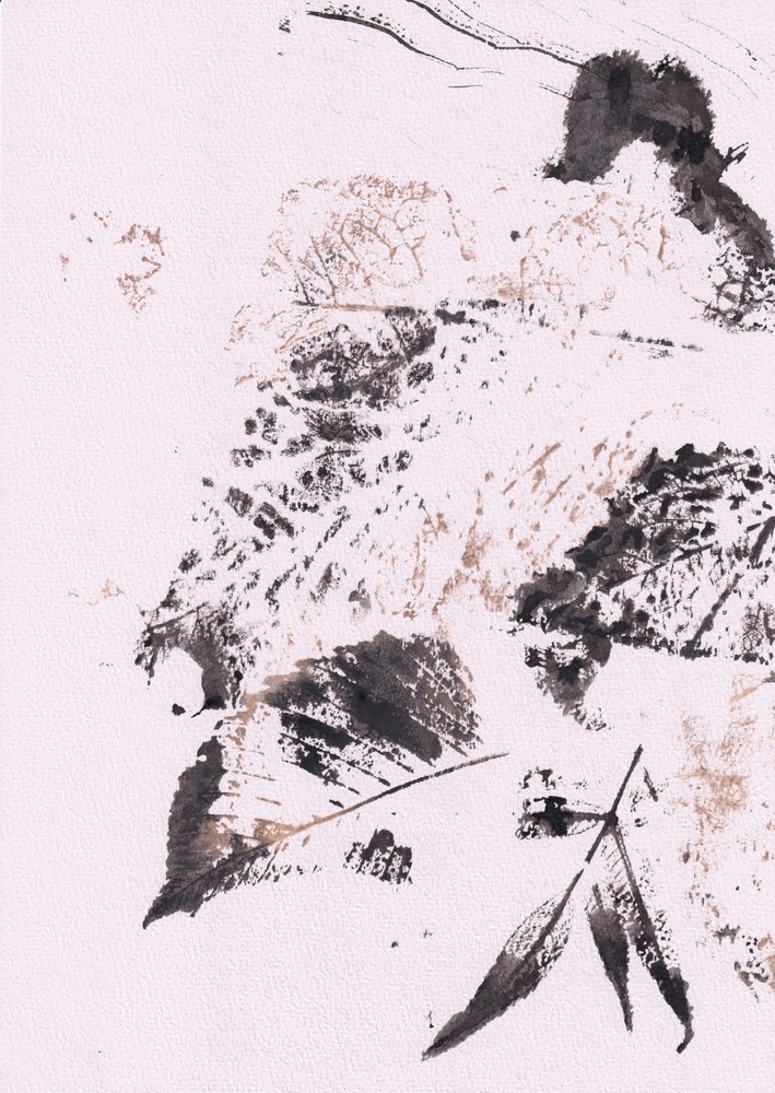 Folhas de Tinta Serenas de Maira Ribena