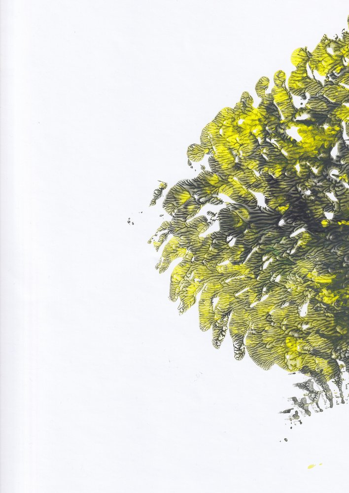 Textura verde vibrante de Maira Ribena