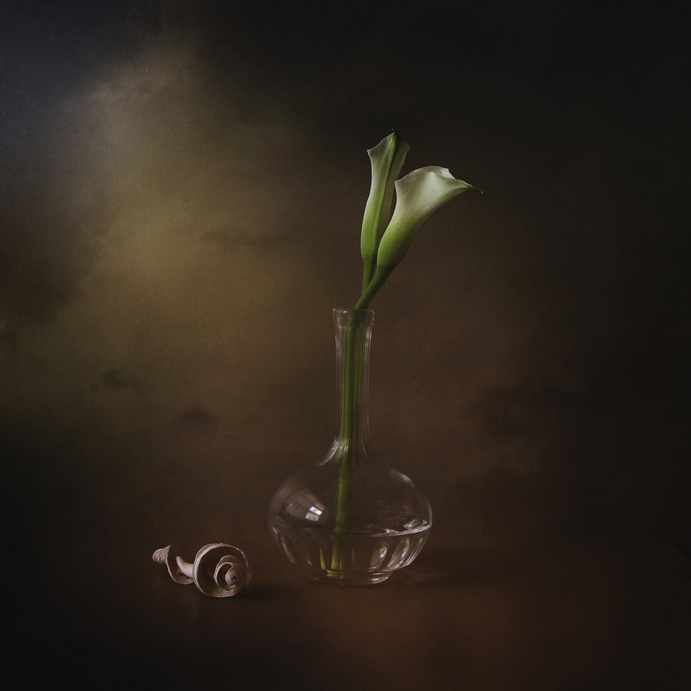 Callas elegantes de Margaret Halaby