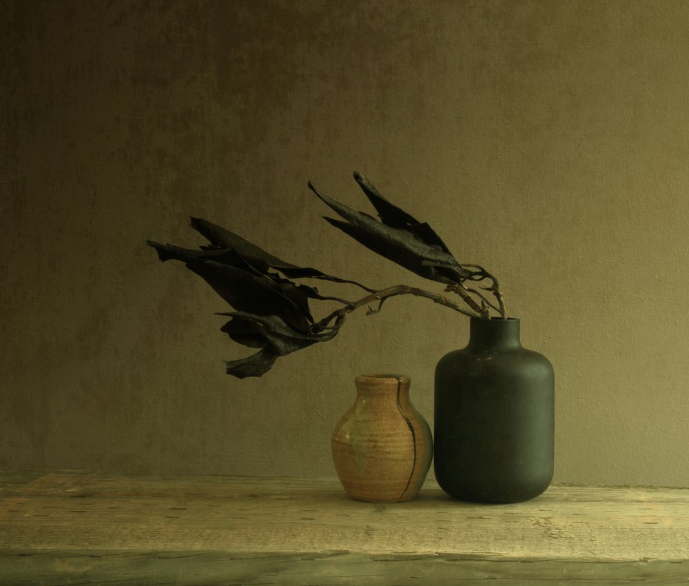 Natureza morta minimalista com folhas de Margaret Halaby