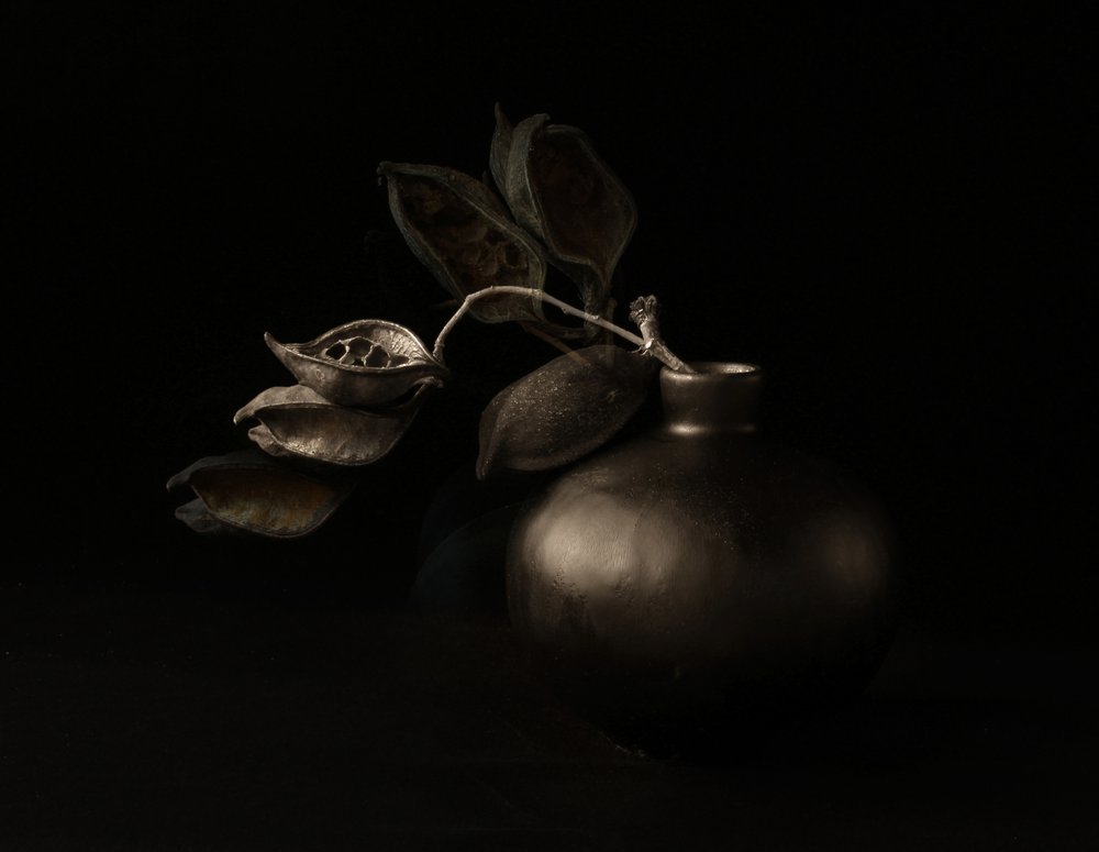 Vagens de sementes Moody de Margaret Halaby