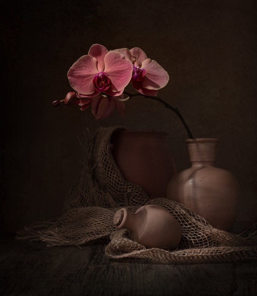 Natureza morta com orquídea escura de Margareth Perfoncio