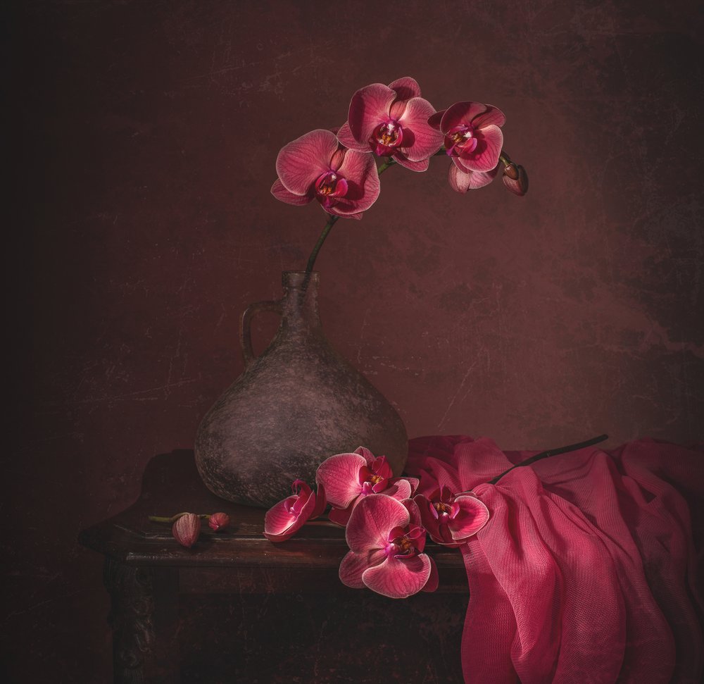  de Margareth Perfoncio