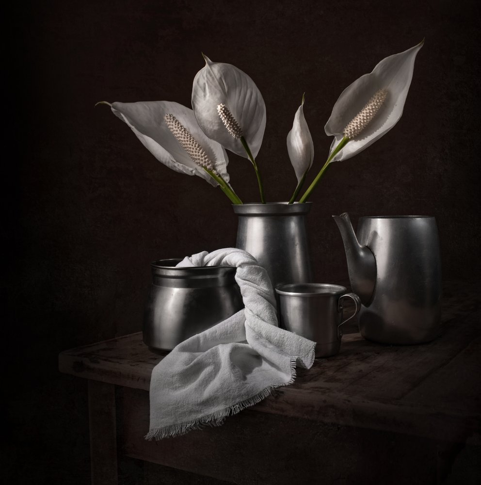 Lírios da Paz Elegantes de Margareth Perfoncio
