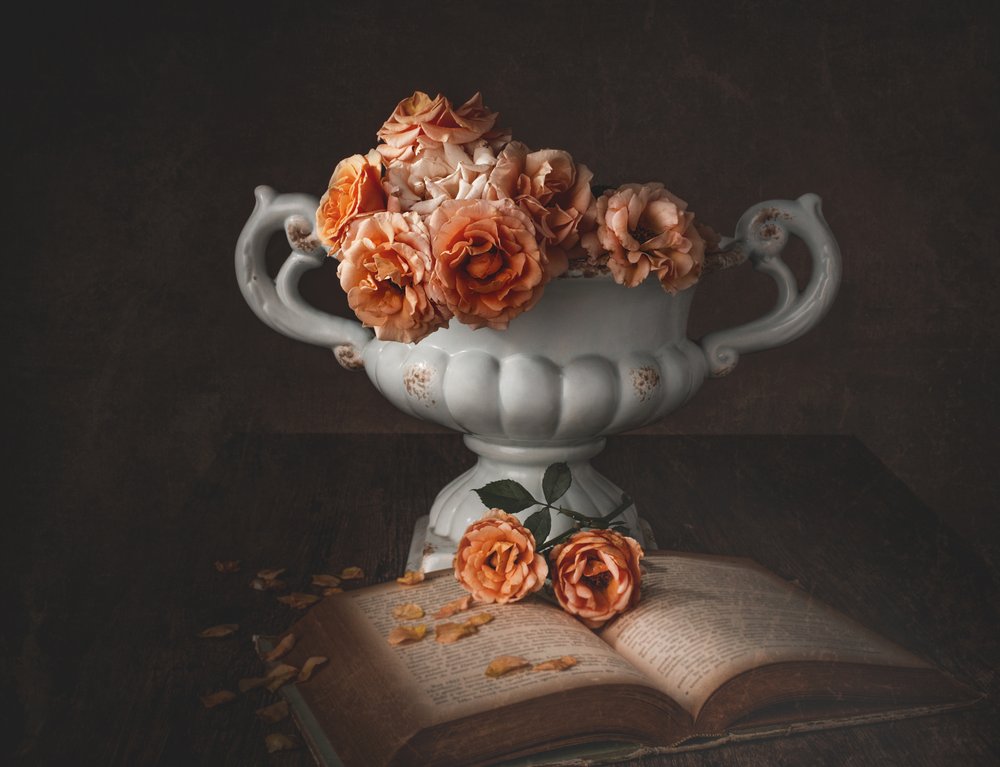 Rosas melancólicas e um livro antigo de Margareth Perfoncio
