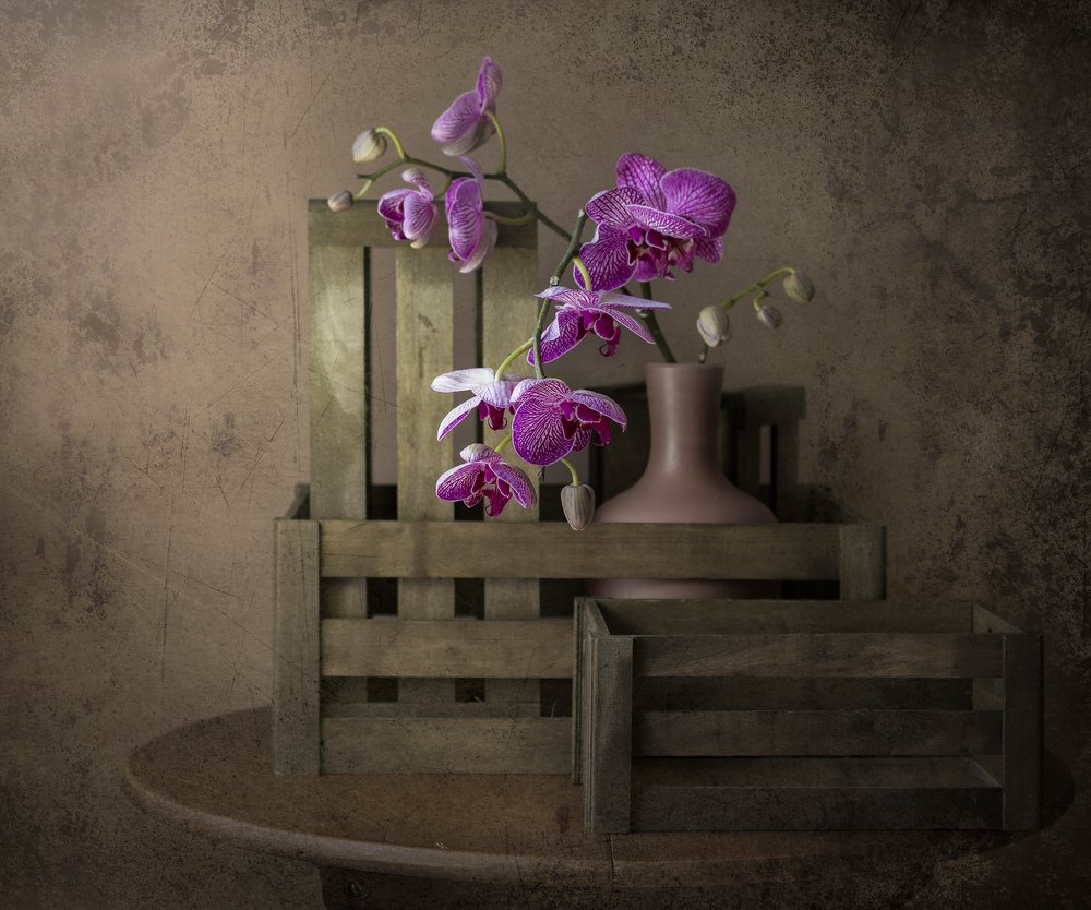  de Margareth Perfoncio
