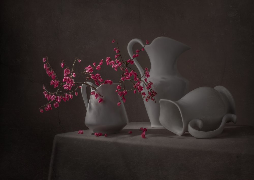 Flores cor-de-rosa e jarros brancos de Margareth Perfoncio