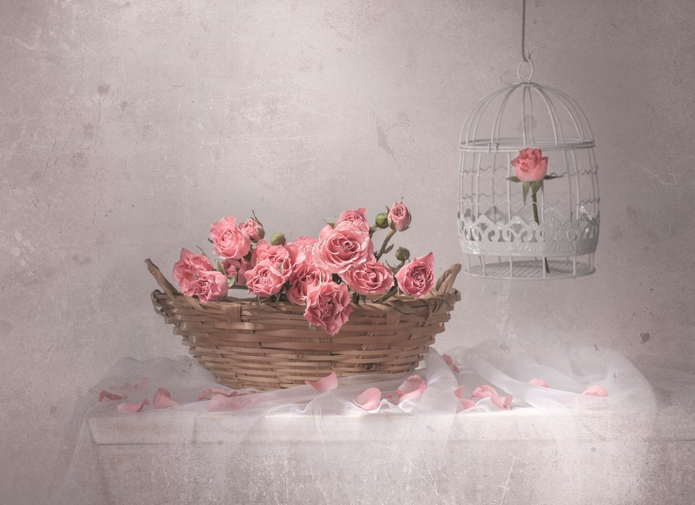 Rosas cor-de-rosa e gaiola de pássaros de Margareth Perfoncio