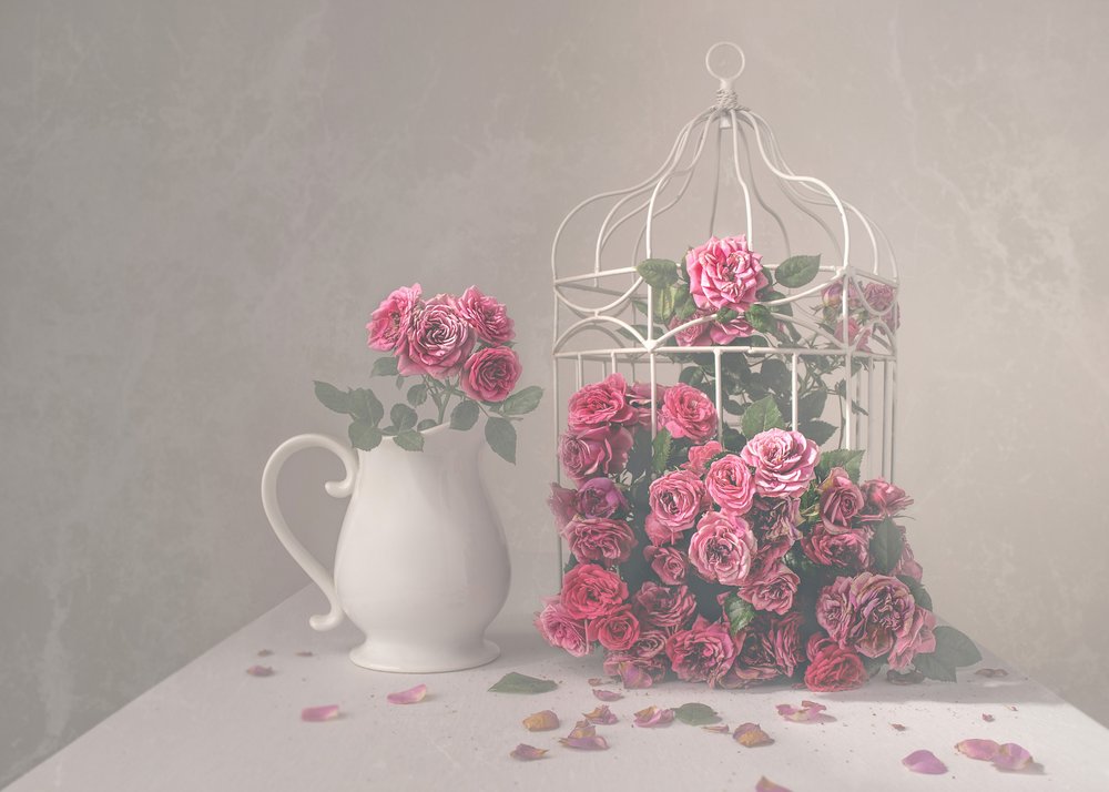 Rosas e gaiola de Margareth Perfoncio