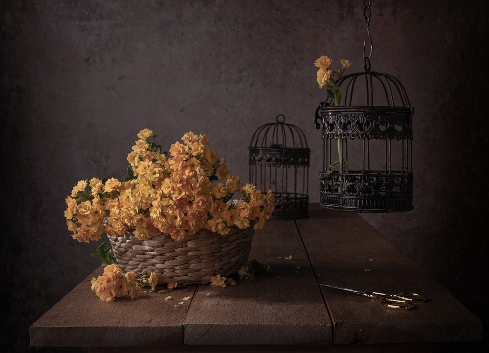  de Margareth Perfoncio