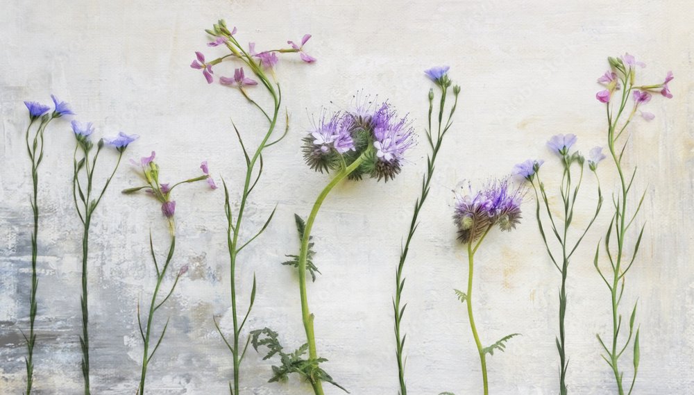 Caules etéreos de flores silvestres de Marie-anne Stas