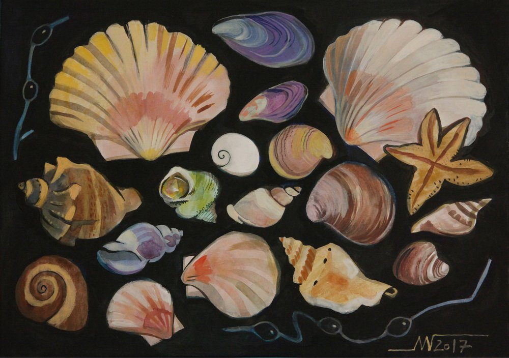 Conchas marinhas coloridas de Marina Gorkaeva