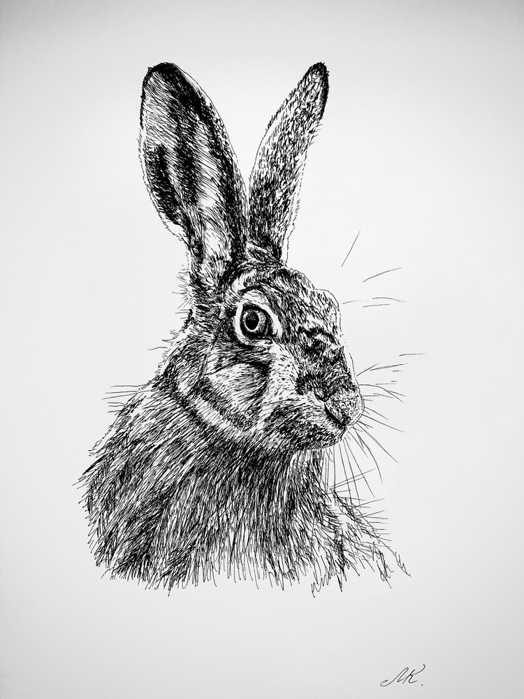 Desenho de uma lebre curiosa de Marina Kozyr