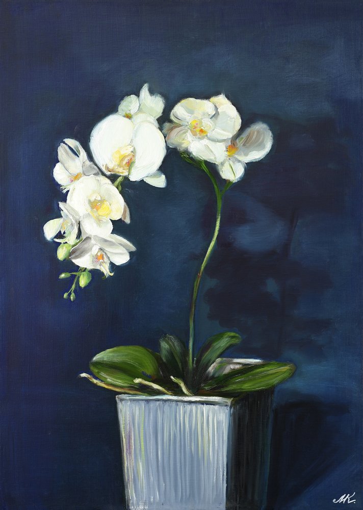 de Marina Kozyr