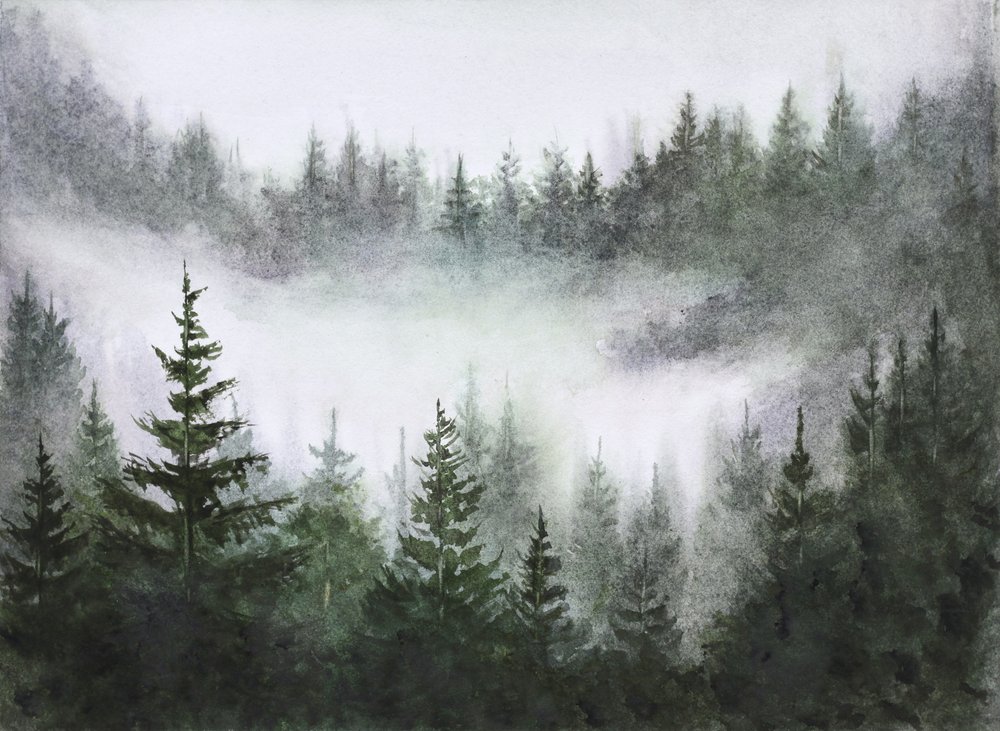 Serenidade da floresta enevoada de Marina Kozyr