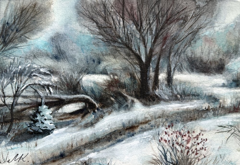 Caminho de inverno nevado de Marina Kozyr