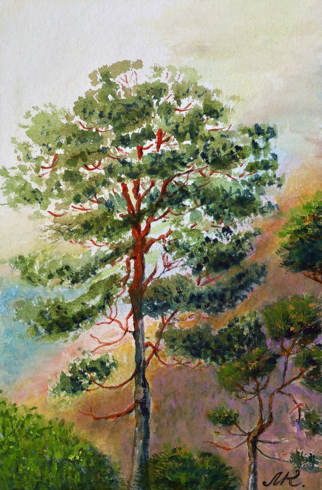 Floresta de pinheiros em aguarela de Marina Kozyr