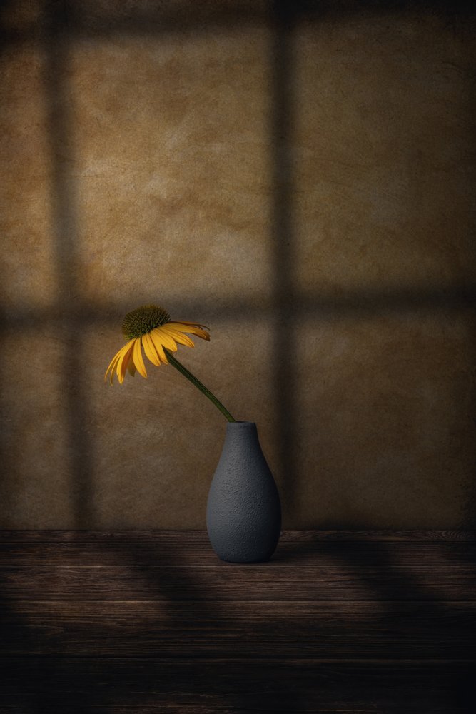 Sombra da Flor Amarela de Marko Klavs