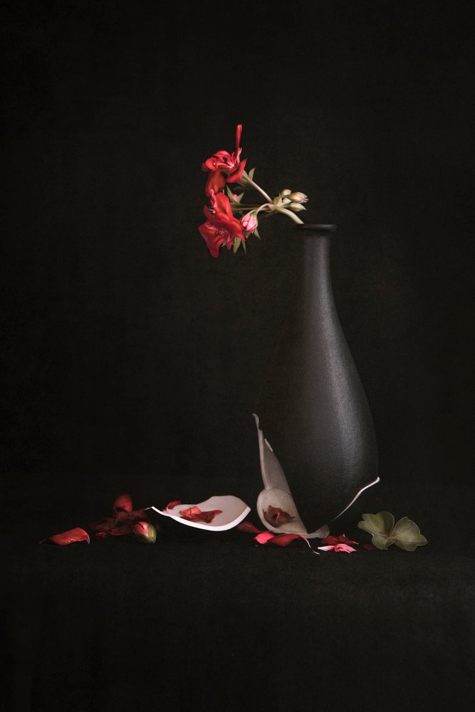 Vaso partido com flores vermelhas de Martine Benezech