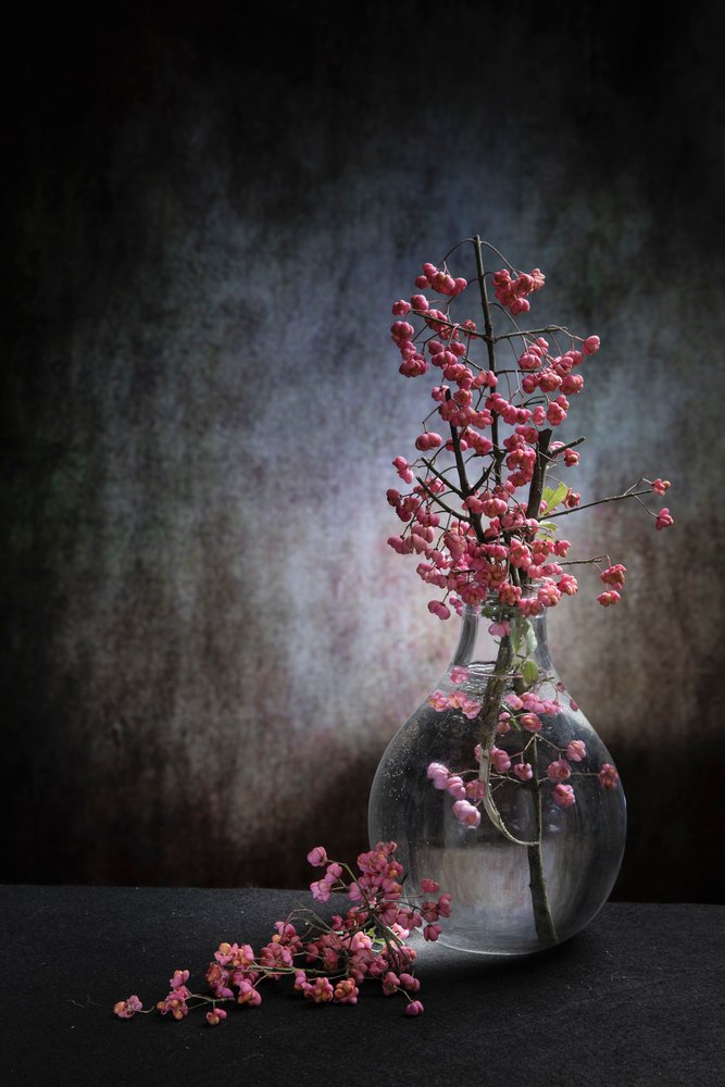 Natureza-morta com bagas cor-de-rosa de Martine Benezech