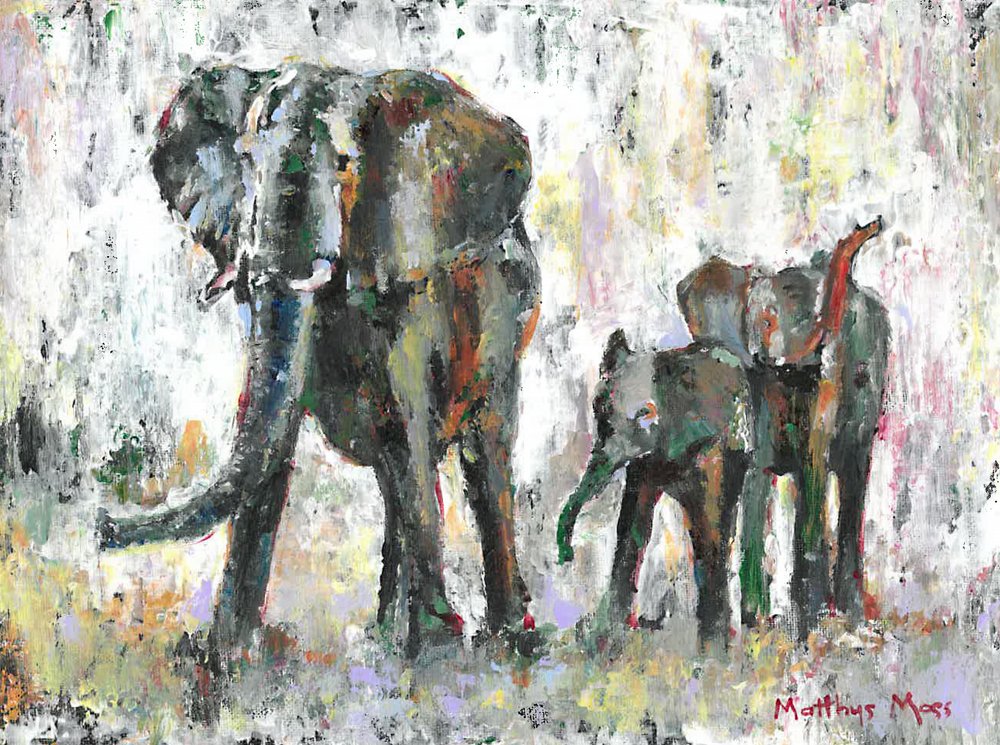 Família do elefante africano de Matthys Moss