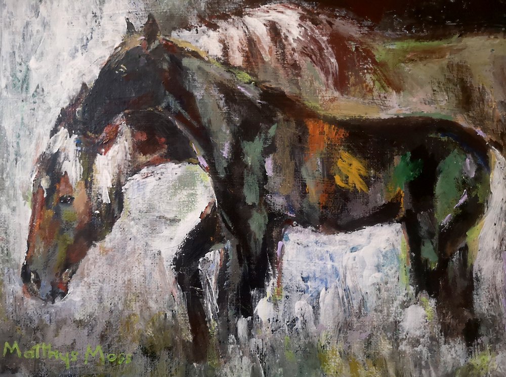 Cavalos selvagens coloridos de Matthys Moss