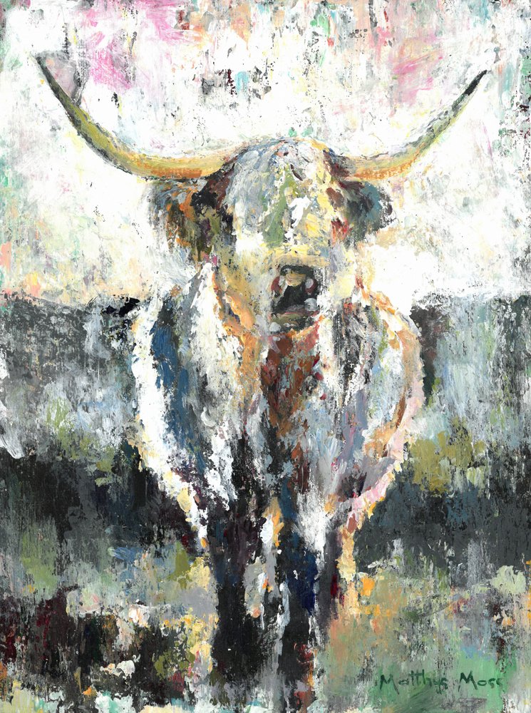 Vaca das Terras Altas com pelagem texturada de Matthys Moss