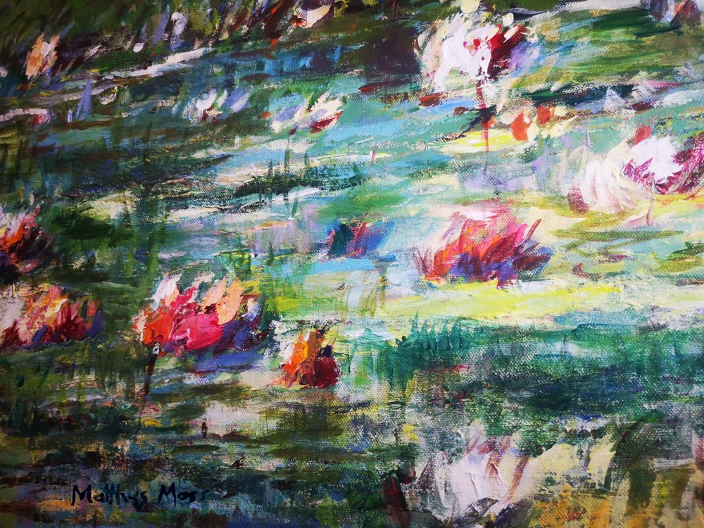 Lago com nenúfares coloridos de Matthys Moss