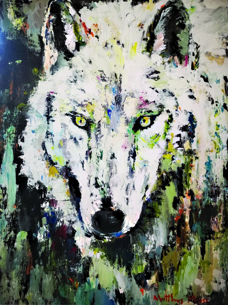O Olhar do Lobo Branco de Matthys Moss