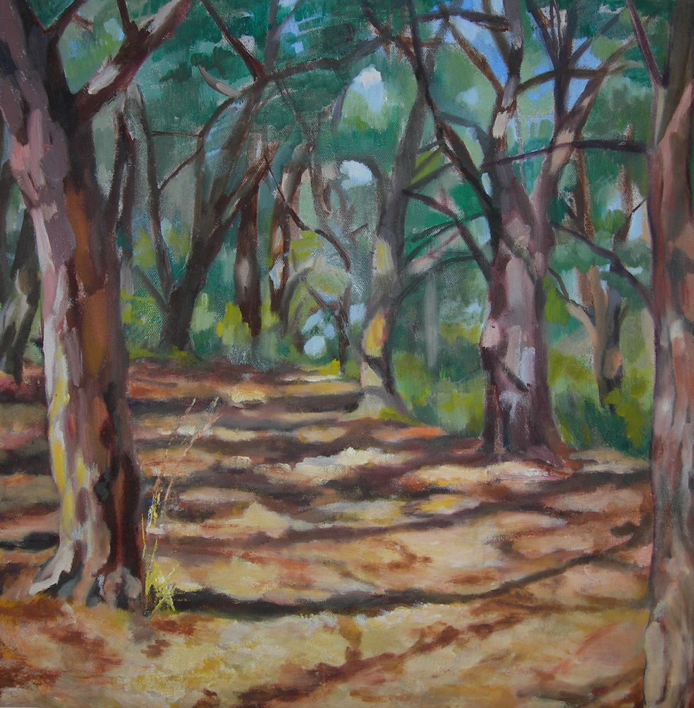 Caminho na floresta salpicado de luz de Maxine Shore