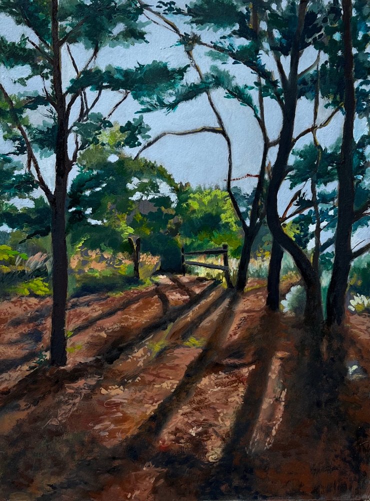 Trilha na Floresta: Sombras Longas de Maxine Shore