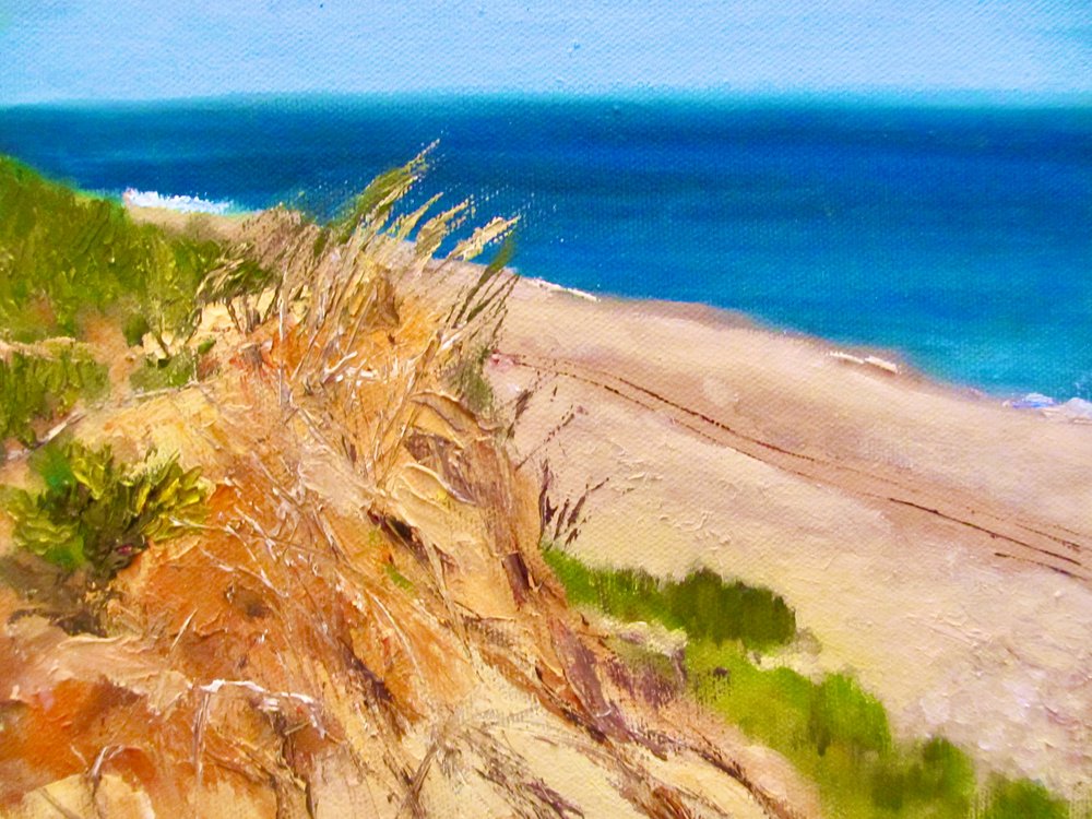 Vista tranquila da costa de Maxine Shore