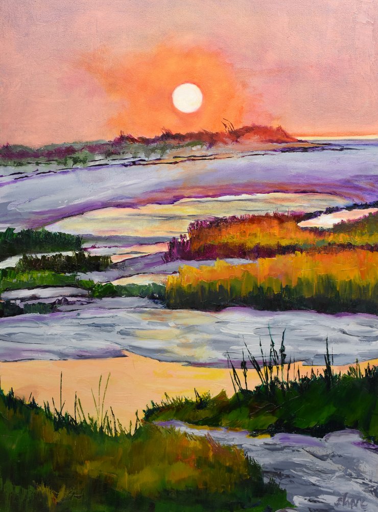 Pôr-do-sol vibrante no pântano de Maxine Shore