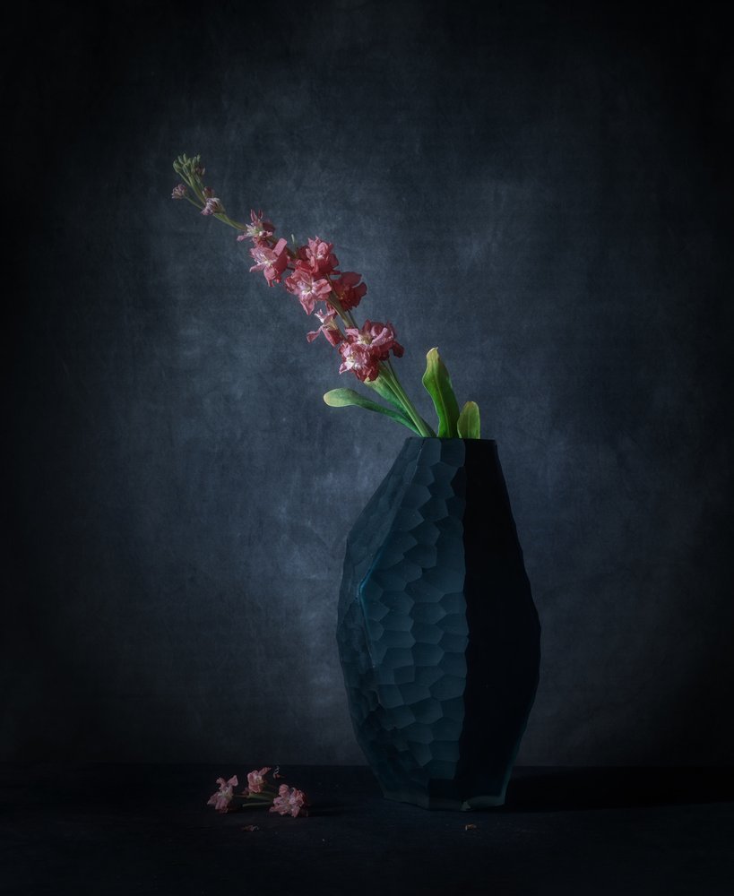 Elegância Floral Escura de May G