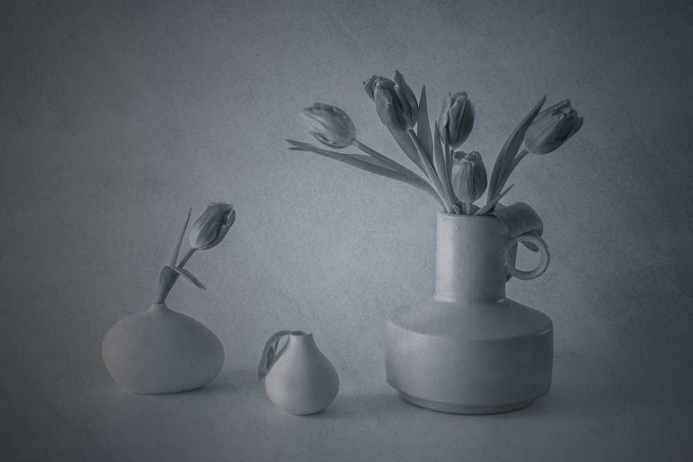 Natureza morta de tulipas da Moody de May G