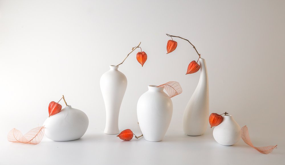 Natureza morta com physalis laranja de May G