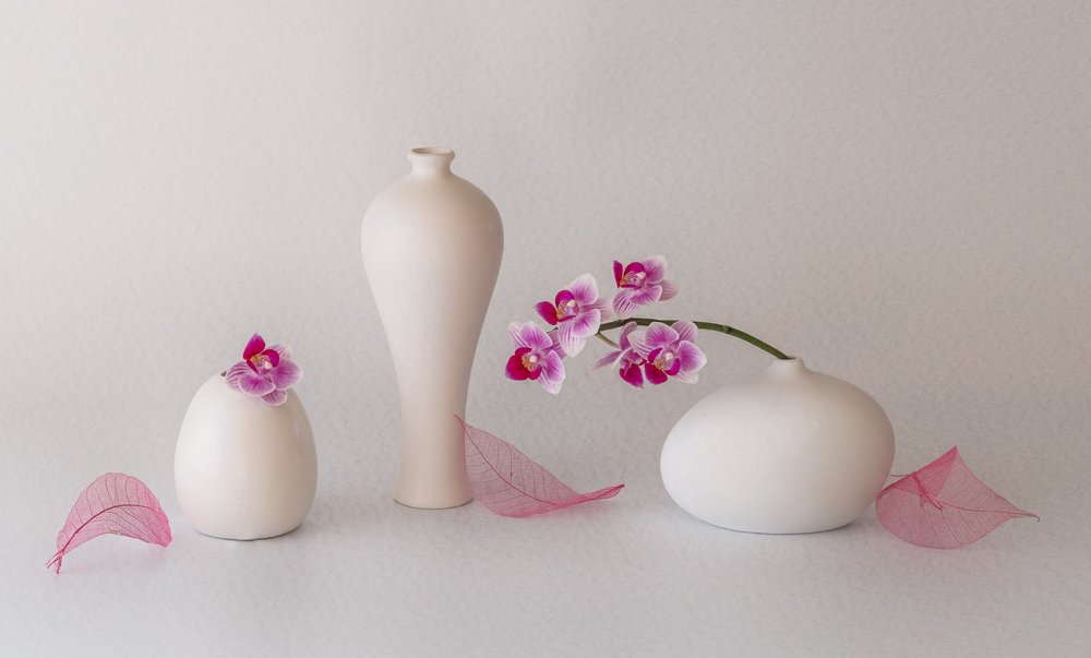Natureza morta com orquídeas cor-de-rosa de May G