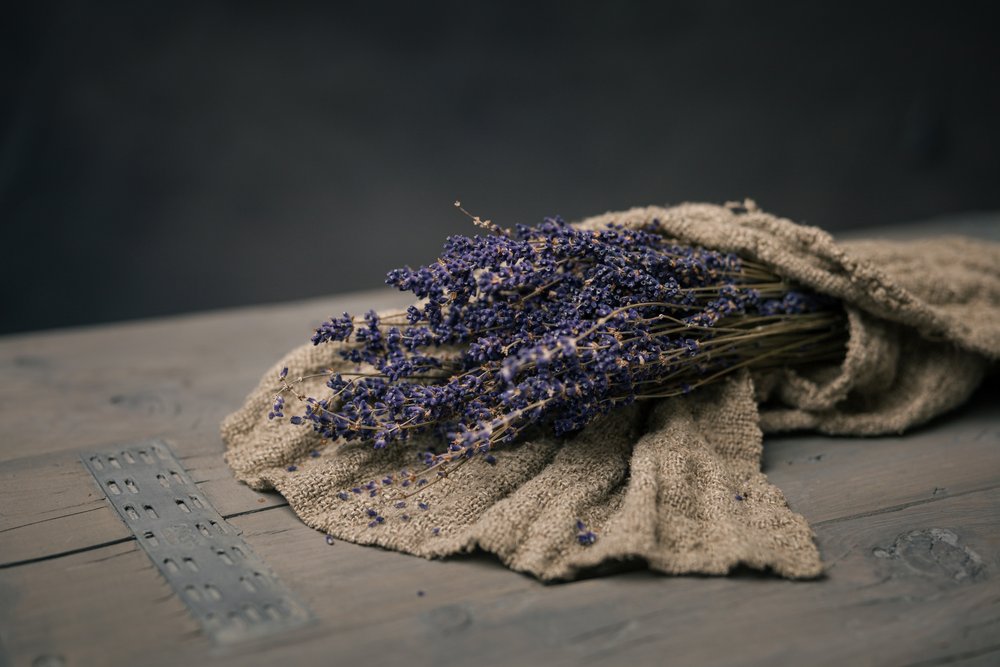 Molho de lavanda seca de Mayra Pama