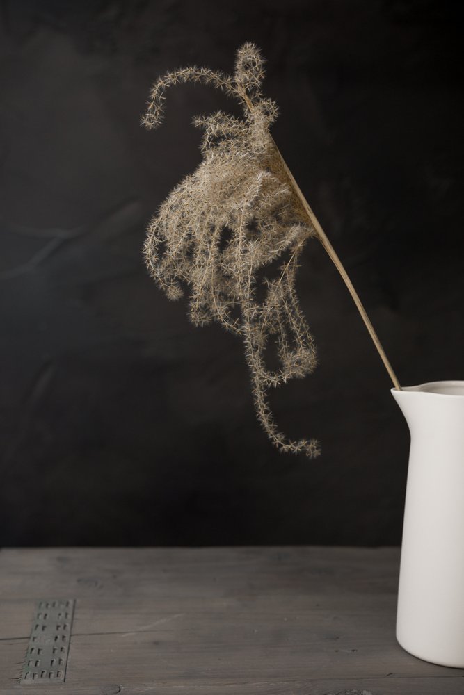 Jarro branco com erva-das-pampas de Mayra Pama