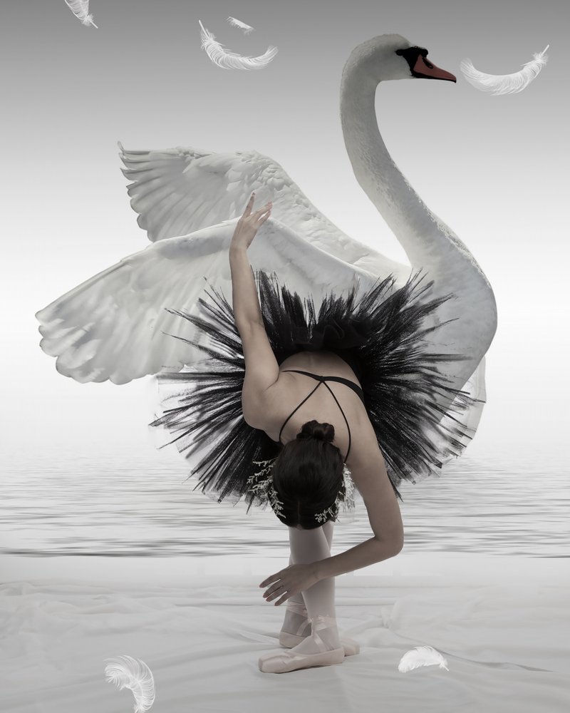 Bailarina do Cisne Negro de Mieke
