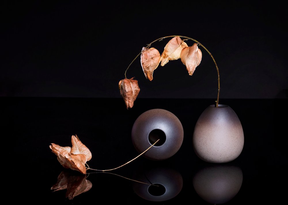 Lanternas chinesas secas de Ming Chen